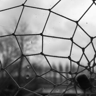 27628759_10160139532575037_3268437857108244764_o