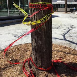 31764708_10160565036680037_7667130236747644928_o