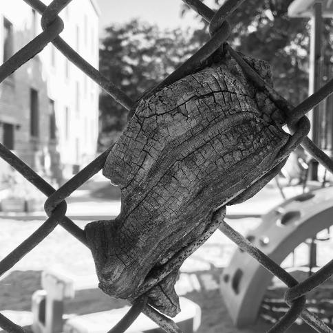 37379651_10160896976985037_238774476278333440_o