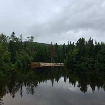 37898644_10160927591485037_454533588617003008_o