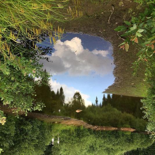 37938239_10160932120265037_654908166756106240_o