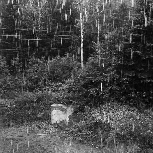 38065457_10160936517600037_8401002296363712512_o