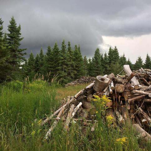 38808579_10160979754240037_1432331770279231488_o