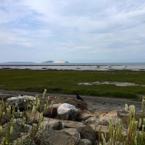 40098245_10161059189190037_9002626866917408768_o