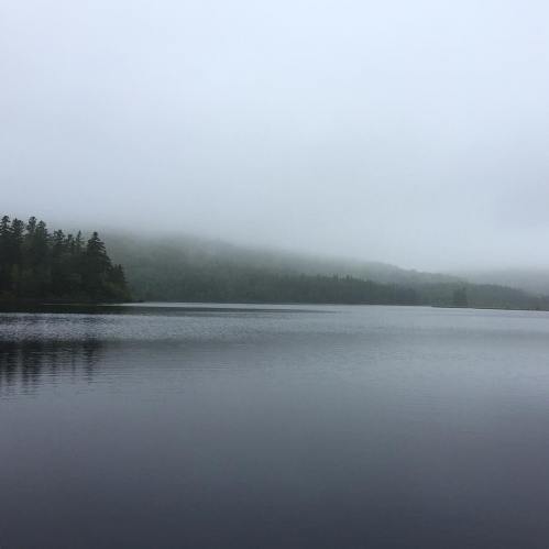 40266603_10161068084570037_7661435440825630720_o