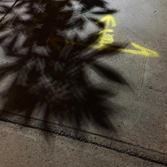 40467160_10161072027600037_5535047564082020352_o