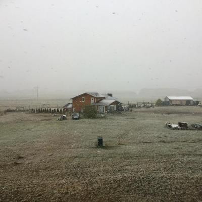 42232672_10161164387225037_8061133756045459456_o