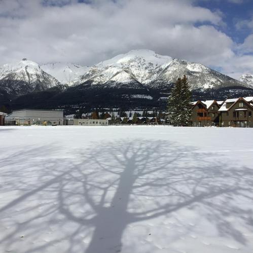 43140818_10161210497735037_6551347292874473472_o