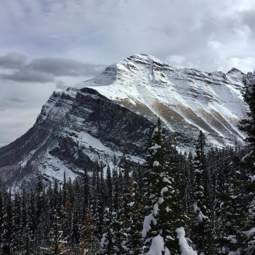 43174353_10161218173270037_8818246214412664832_o