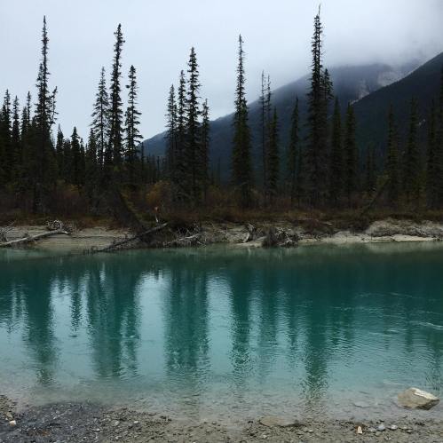 43415501_10161232267300037_9006830969885294592_o