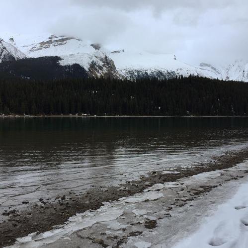 43426745_10161228017400037_3645586430031298560_o