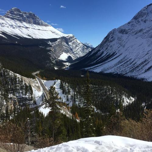 43448562_10161223285060037_6529251270979485696_o