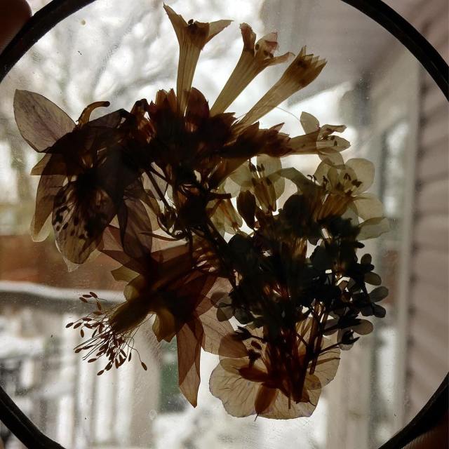 43709479_10161239949860037_3411415673362972672_o