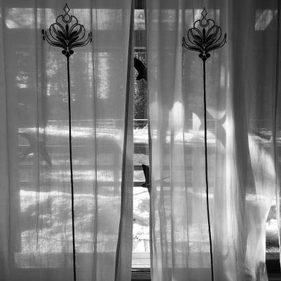 44062877_10161247550280037_7604117577547120640_o