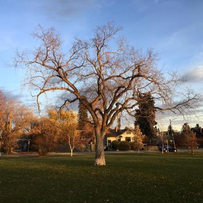 44102180_10161259562535037_3093214113476640768_o