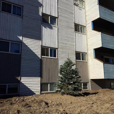 44164462_10161266749260037_6820427857257299968_o