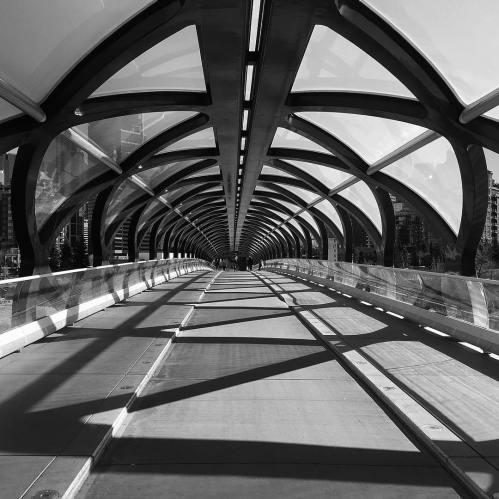 44213888_10161263134825037_3929712664283971584_o