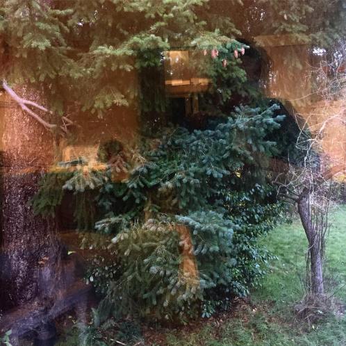 46936976_10161431152470037_1512758954201972736_o