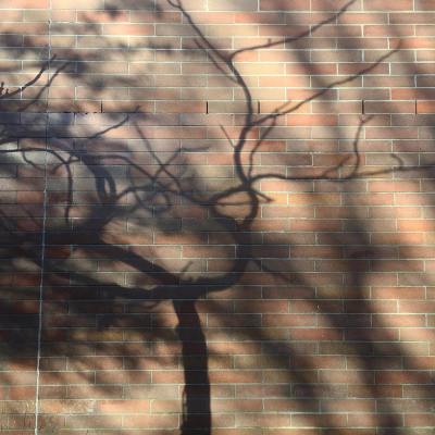 49204815_10161578257245037_7919686786337472512_o