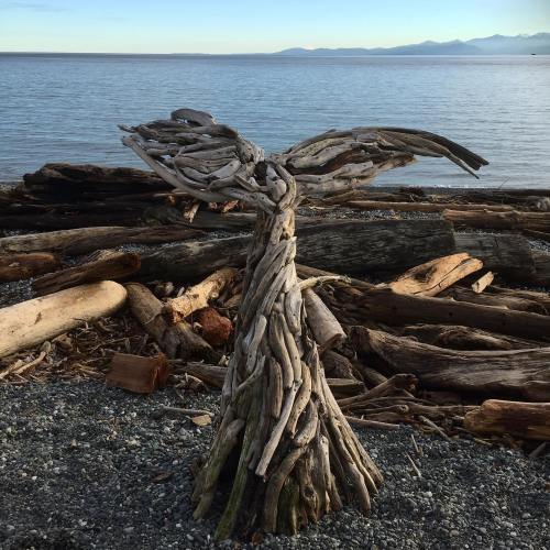 49579419_10161562945215037_5306835739529445376_o