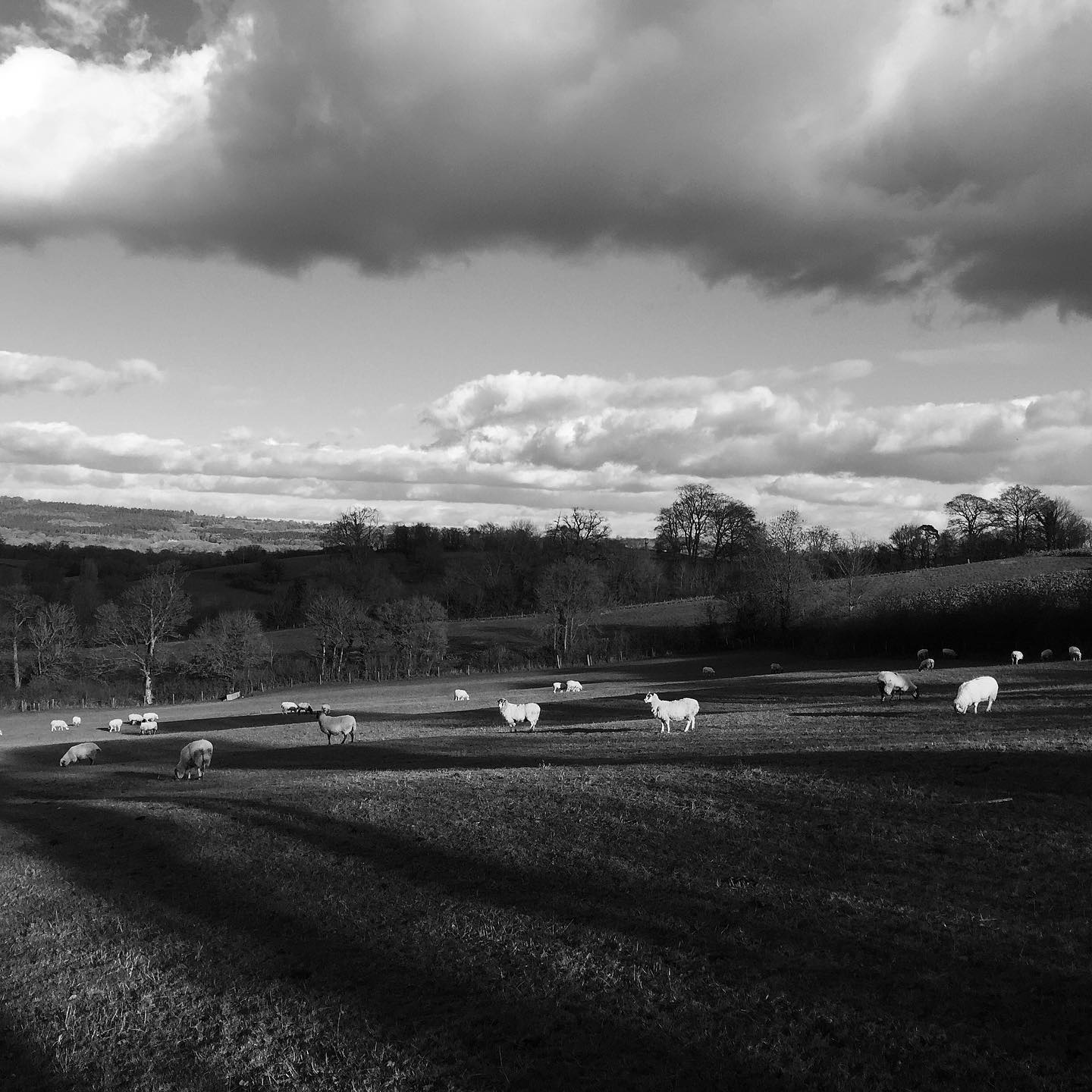 51043327_10161668734425037_3374341425469587456_o