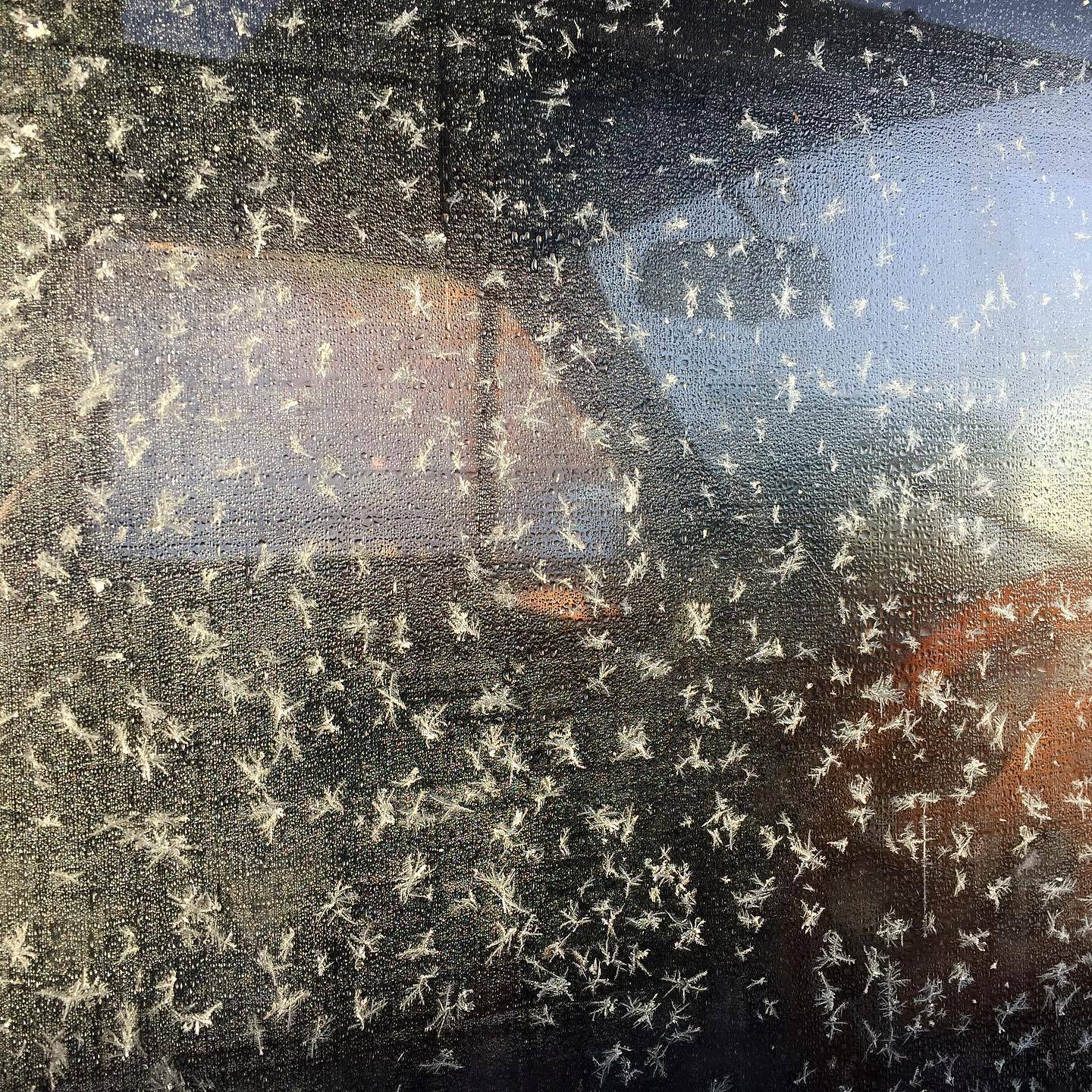 51128948_10161693392215037_6305963132510535680_o